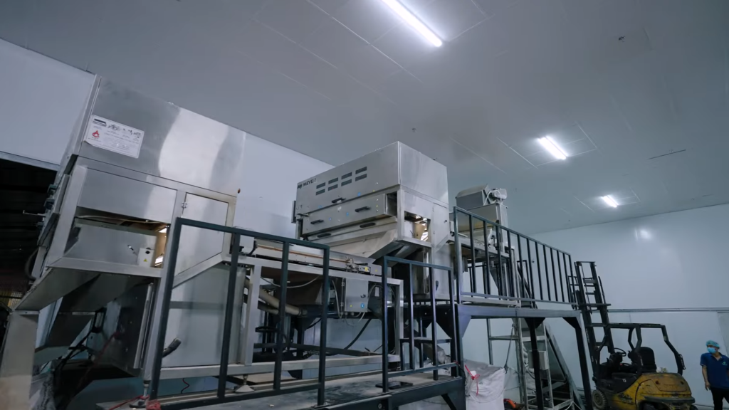 Color Sorting Machine