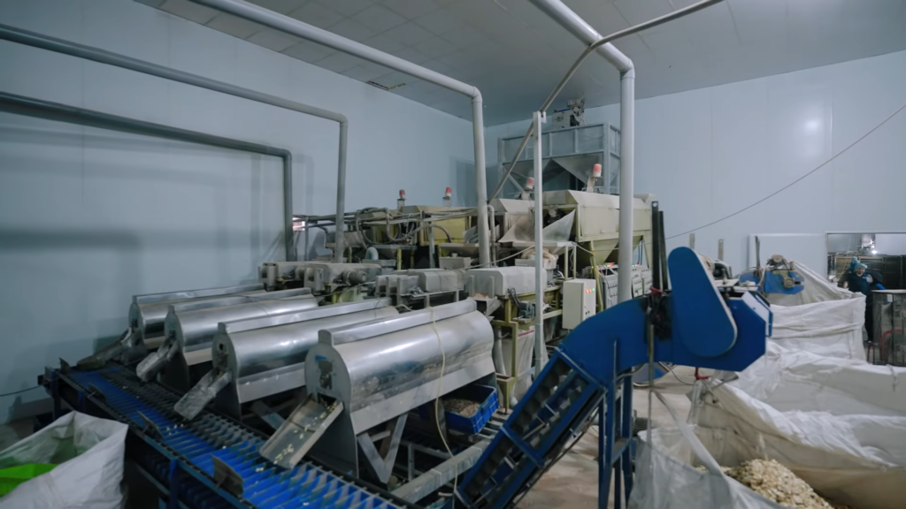 Peeling Machine