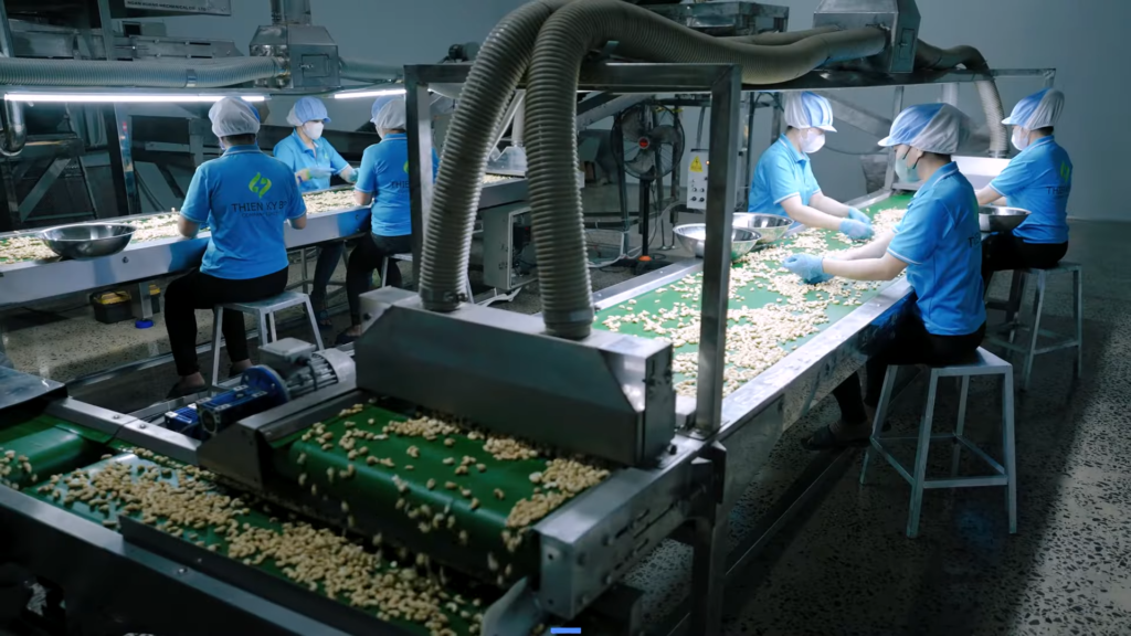 Sorting Line